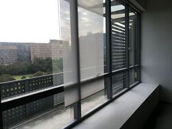 One Commonwealth (D3), Office #344597071